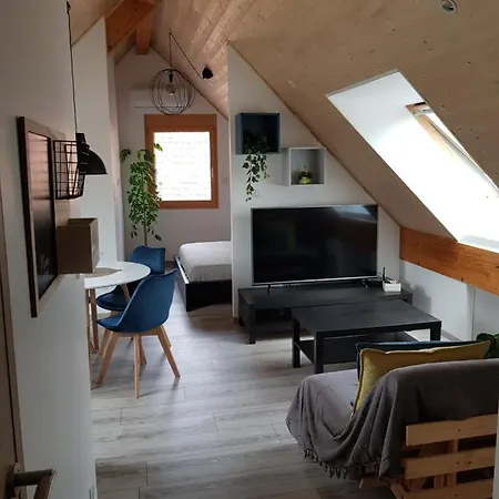 Superbe Type T1 Proche Strasbourg 公寓 *